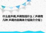 什么是聲調(diào),聲調(diào)包括什么（聲調(diào)有幾種 聲調(diào)內(nèi)容具體介紹簡介介紹）