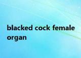 blacked cock female organ