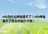 ofo為什么押金退不了（ofo押金退不了怎么辦簡(jiǎn)介介紹）