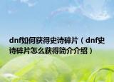 dnf如何獲得史詩碎片（dnf史詩碎片怎么獲得簡(jiǎn)介介紹）