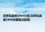 怎樣玩戰(zhàn)地1944介紹(怎樣玩戰(zhàn)地1944詳細情況如何)