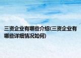 三資企業(yè)有哪些介紹(三資企業(yè)有哪些詳細(xì)情況如何)