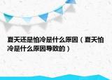 夏天還是怕冷是什么原因（夏天怕冷是什么原因?qū)е碌模? /></span></a>
                        <h2><a href=