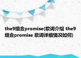 the9組合promise(歌詞介紹 the9組合promise 歌詞詳細(xì)情況如何)