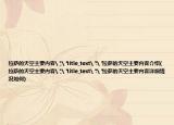 拉薩的天空主要內(nèi)容