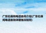 廣東社保局電話查詢介紹(廣東社保局電話查詢?cè)敿?xì)情況如何)