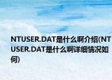 NTUSER.DAT是什么啊介紹(NTUSER.DAT是什么啊詳細(xì)情況如何)