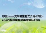 印度nano汽車哪里有賣介紹(印度nano汽車哪里有賣詳細情況如何)