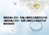 輔助機(jī)器人符文丶機(jī)器人輔助怎么搭配符文介紹(輔助機(jī)器人符文丶機(jī)器人輔助怎么搭配符文詳細(xì)情況如何)