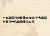 十大高薪行業(yè)是什么介紹(十大高薪行業(yè)是什么詳細(xì)情況如何)