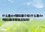 什么是dnf國(guó)際服介紹(什么是dnf國(guó)際服詳細(xì)情況如何)