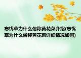 忘憂草為什么俗稱黃花菜介紹(忘憂草為什么俗稱黃花菜詳細(xì)情況如何)