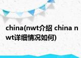 china(nwt介紹 china nwt詳細情況如何)