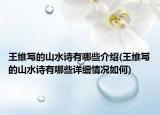 王維寫的山水詩(shī)有哪些介紹(王維寫的山水詩(shī)有哪些詳細(xì)情況如何)