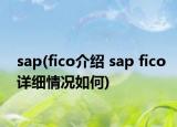 sap(fico介紹 sap fico詳細(xì)情況如何)