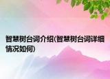 智慧樹臺詞介紹(智慧樹臺詞詳細(xì)情況如何)