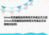 Linux系統(tǒng)編程如何使用文件表達式介紹(Linux系統(tǒng)編程如何使用文件表達式詳細情況如何)