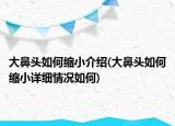 大鼻頭如何縮小介紹(大鼻頭如何縮小詳細(xì)情況如何)