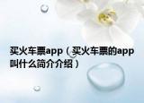 買火車票app（買火車票的app叫什么簡介介紹）