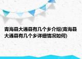 青?？h大通縣有幾個鄉(xiāng)介紹(青?？h大通縣有幾個鄉(xiāng)詳細情況如何)