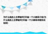 為什么我的上古卷軸5打開是一個(gè)小屏幕介紹(為什么我的上古卷軸5打開是一個(gè)小屏幕詳細(xì)情況如何)