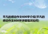 平凡的感動(dòng)作文600字介紹(平凡的感動(dòng)作文600字詳細(xì)情況如何)