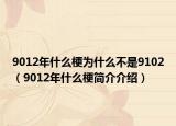 9012年什么梗為什么不是9102（9012年什么梗簡介介紹）