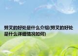 劈叉的好處是什么介紹(劈叉的好處是什么詳細(xì)情況如何)