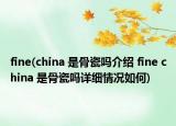 fine(china 是骨瓷嗎介紹 fine china 是骨瓷嗎詳細情況如何)