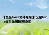 什么是torre文件介紹(什么是torre文件詳細情況如何)
