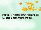 multiplier是什么意思介紹(multiplier是什么意思詳細(xì)情況如何)