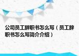 公司員工辭職書怎么寫（員工辭職書怎么寫簡介介紹）