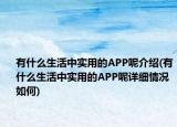 有什么生活中實用的APP呢介紹(有什么生活中實用的APP呢詳細情況如何)