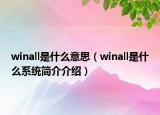 winall是什么意思（winall是什么系統(tǒng)簡介介紹）