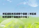 羊駝絨和羊羔絨哪個(gè)保暖（羊駝絨和羊絨哪個(gè)保暖簡(jiǎn)介介紹）