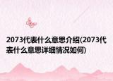 2073代表什么意思介紹(2073代表什么意思詳細(xì)情況如何)