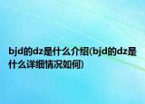 bjd的dz是什么介紹(bjd的dz是什么詳細情況如何)