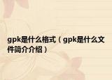 gpk是什么格式（gpk是什么文件簡介介紹）