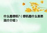 什么是僚機(jī)?（僚機(jī)是什么意思簡(jiǎn)介介紹）