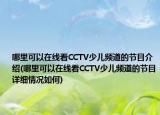 哪里可以在線(xiàn)看CCTV少兒頻道的節(jié)目介紹(哪里可以在線(xiàn)看CCTV少兒頻道的節(jié)目詳細(xì)情況如何)