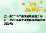 江一燕2016年主演的電視劇介紹(江一燕2016年主演的電視劇詳細情況如何)