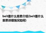 belt是什么意思介紹(belt是什么意思詳細(xì)情況如何)