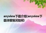 anyview下載介紹(anyview下載詳細(xì)情況如何)