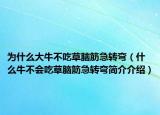 為什么大牛不吃草腦筋急轉(zhuǎn)彎（什么牛不會(huì)吃草腦筋急轉(zhuǎn)彎簡(jiǎn)介介紹）