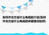 張鐸許北方是什么電視劇介紹(張鐸許北方是什么電視劇詳細情況如何)