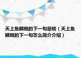 天上魚鱗斑的下一句是啥（天上魚鱗斑的下一句怎么簡介介紹）