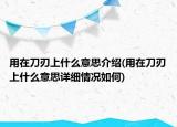 用在刀刃上什么意思介紹(用在刀刃上什么意思詳細(xì)情況如何)