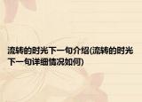 流轉(zhuǎn)的時(shí)光下一句介紹(流轉(zhuǎn)的時(shí)光下一句詳細(xì)情況如何)