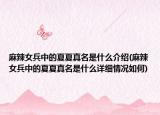 麻辣女兵中的夏夏真名是什么介紹(麻辣女兵中的夏夏真名是什么詳細(xì)情況如何)