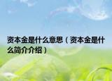 資本金是什么意思（資本金是什么簡介介紹）